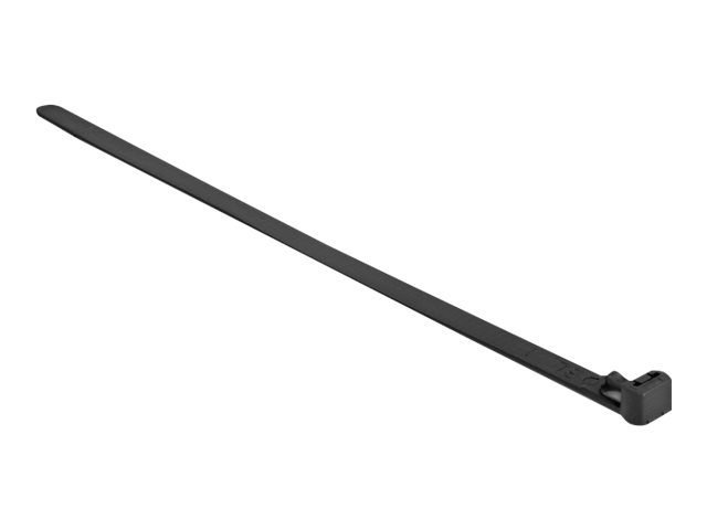 Delock - Kabelbinder - heat resistant, reusable - 15 cm - Schwarz (Packung mit 100)