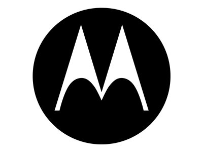 Motorola RLN4895A - Ohrhrer mit Mikrofon - im Ohr - ber dem Ohr angebracht - kabelgebunden