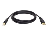 Eaton Tripp Lite Series USB 2.0 A to B Cable (M/M), 15 ft. (4.57 m) - USB-Kabel - USB (M) zu USB Typ B (M) - USB 2.0 - 4.6 m - g