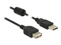 Delock - USB-Verlngerungskabel - USB (M) zu USB (W) - USB 2.0 - 1 m - Schwarz
