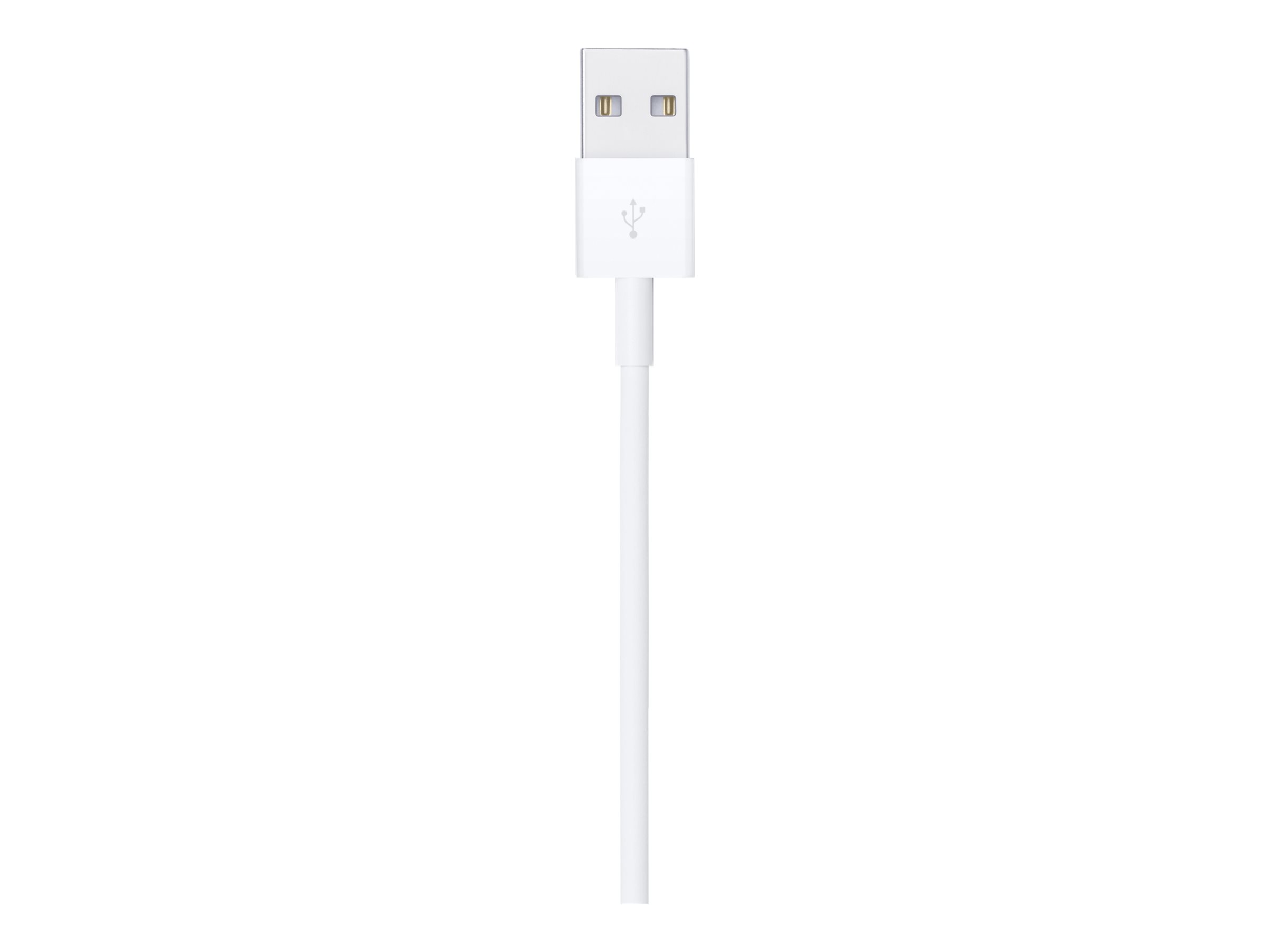 Apple - Lightning-Kabel - Lightning mnnlich zu USB mnnlich - 1 m