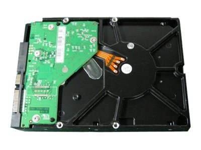 [Wiederaufbereitet] Dell - Festplatte - 1 TB - intern - 3.5