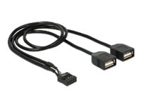 Delock - Interner und externer USB-Adapter - 10-poliger USB-Header (W) zu USB (W) - 40 cm - Schwarz