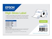 Epson - Hochglnzend - permanenter Acrylklebstoff - 102 x 51 mm 2310 Etikett(en) (1 Rolle(n) x 2310) gestanzte Etiketten - fr C