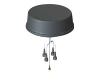 Cisco - Antenne - 5 dBi (for 2.4 - 2.5 GHz), 6 dBi (fr 4,9 - 5,875 GHz), 2,4 dBi (fr 698 - 960 MHz), 4,9 dBi (fr 1,71