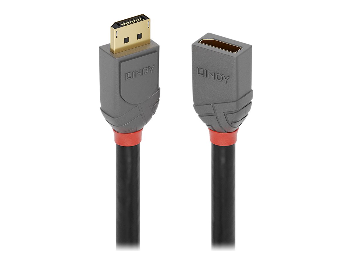 Lindy Anthra Line - DisplayPort-Verlngerungskabel - DisplayPort (M) zu DisplayPort (W) - DisplayPort 1.4 - 50 cm - rund, unters