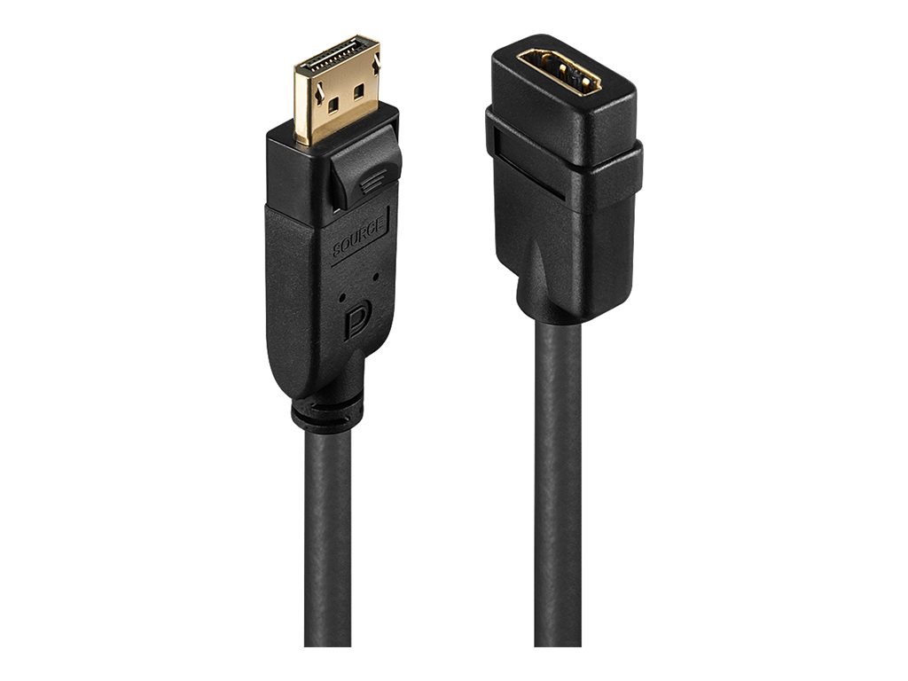 Lindy - Videoadapter - DisplayPort mnnlich zu HDMI weiblich - 0.15 m - Schwarz