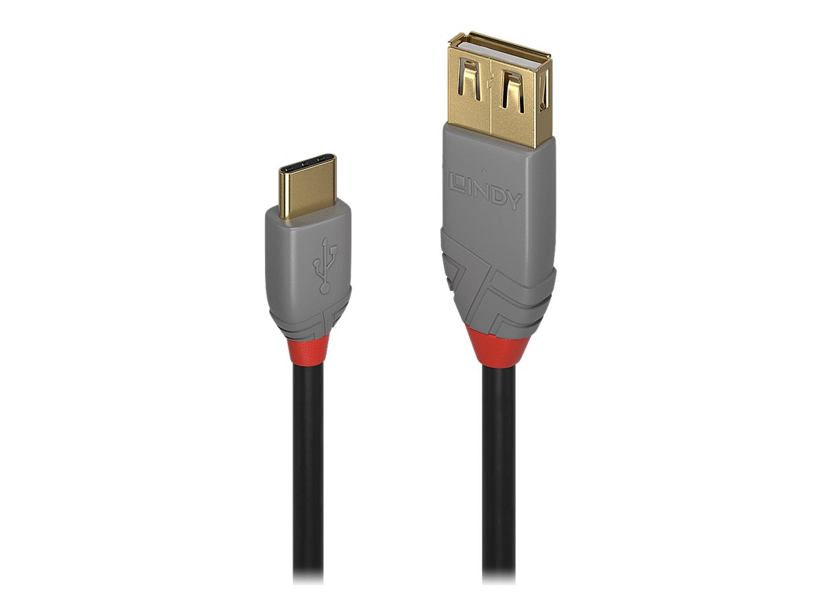 Lindy Anthra Line - USB-Kabel - USB (M) zu 24 pin USB-C (M) - USB 2.0 - 15 cm