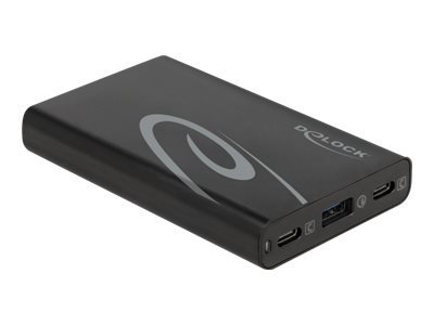 Delock - Netzteil - Wechselstrom 100-240 V - 60 Watt - Ausgangsanschlsse: 3 - Schwarz