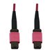 Eaton Tripp Lite Series 100G Multimode 50/125 OM4 Fiber Optic Cable (12F MTP/MPO-PC F/F), LSZH, Magenta, 2 m (6.6 ft.) - Netzwer