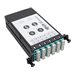 Tripp Lite 12-Fiber Patch Panel 2 MTP/MPO to 12 LC 10Gb Breakout Cassette - Breakout-Box - LC x 12 - Schwarz