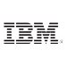 IBM Simple-Swap - Festplatte - 900 GB - austauschbar - 2.5