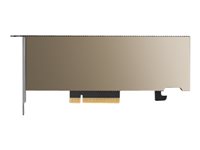 NVIDIA A2 - GPU-Rechenprozessor - A2 - 16 GB GDDR6 - PCIe 4.0 x8 Low-Profile - ohne Lfter