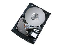 WD Ultrastar 10K300 HUS103073FL3600 - Festplatte - 73.4 GB - intern - 3.5