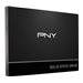 PNY CS900 - SSD - 120 GB - intern - 2.5