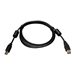 Eaton Tripp Lite Series USB 2.0 A to B Cable with Ferrite Chokes (M/M), 3 ft. (0.91 m) - USB-Kabel - USB Typ B (M) zu USB (M) - 