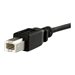 StarTech.com 90cm USB B auf B Blendenmontage Kabel - Bu/St - USB Verlngerungskabel - Einbaubuchsen Kabel Verlngerung - USB-Kab