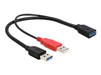 Delock - USB-Kabel - USB Typ A (W) zu USB (nur Strom), USB Typ A (M) - USB 3.0 - 30 cm