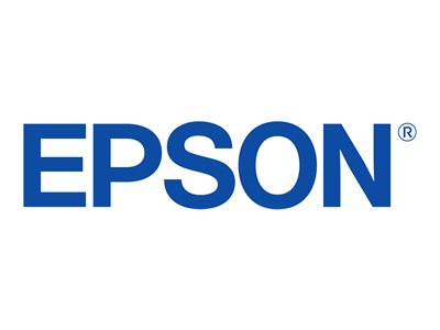 Epson - Festplatte - 20 GB - intern - fr AcuLaser C4100; EPL N3000, N7000