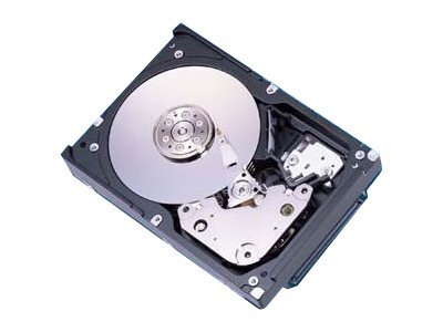 Fujitsu MAT3300NC - Festplatte - 300 GB - Hot-Swap - 3.5