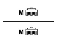 IBM - Netzwerkkabel - RJ-45 (M) zu RJ-45 (M) - 10 m - Blau