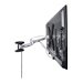 StarTech.com VESA TV Wall Mount, TV Mounting Bracket For 23
