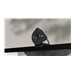 Logitech BRIO 305 - Webcam - Farbe - 2 MP - 1920 x 1080 - 1080p, 720p