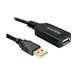Delock USB Cable - USB-Verlngerungskabel - USB (M) zu USB (W) - USB 2.0 - 20 m