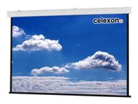 Celexon Expert XL electric screen - Leinwand - Deckenmontage mglich, geeignet fr Wandmontage - motorisiert - 230 V - 564 cm (2