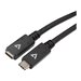 V7 - USB-Verlngerungskabel - 24 pin USB-C (M) zu 24 pin USB-C (W) - 2 m - Schwarz