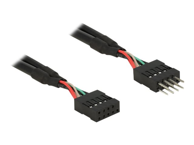Delock USB 2.0 Pin Header - Internes USB-Kabel - 10-poliger USB-Header (W) zu 10-poliger USB-Header (M) - 25 cm - Schwarz