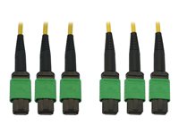 Eaton Tripp Lite Series 40/100G Singlemode 9/125 OS2 Fiber Optic Cable (3x8F MTP/MPO-APC F/F), LSZH, Yellow, 61 m (200 ft.) - Ne