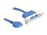 Delock Slot bracket - USB-Konsole - 19-poliger USB 3.0 Kopf (W) zu USB Typ A (W) - 40 cm