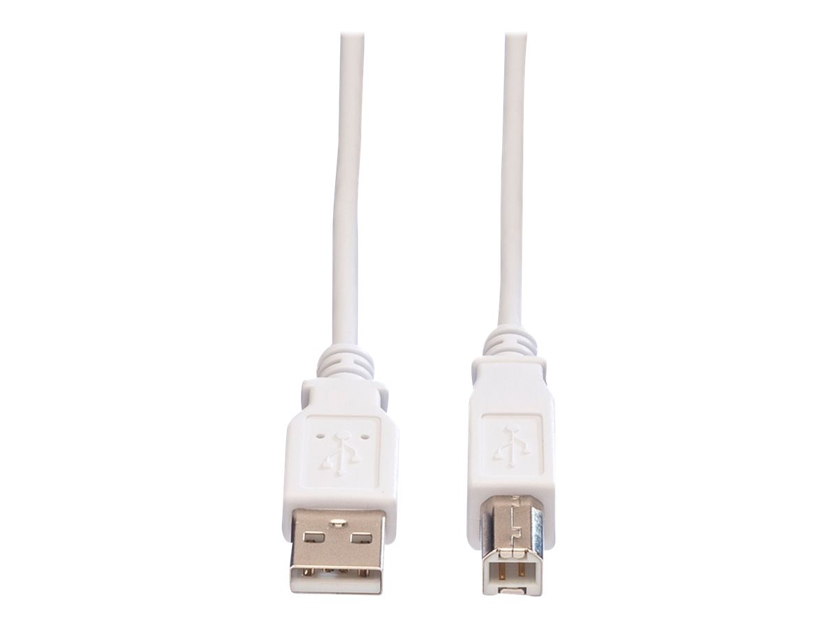 VALUE - USB-Kabel - USB (M) zu USB Typ B (M) - USB 2.0 - 3 m - weiss