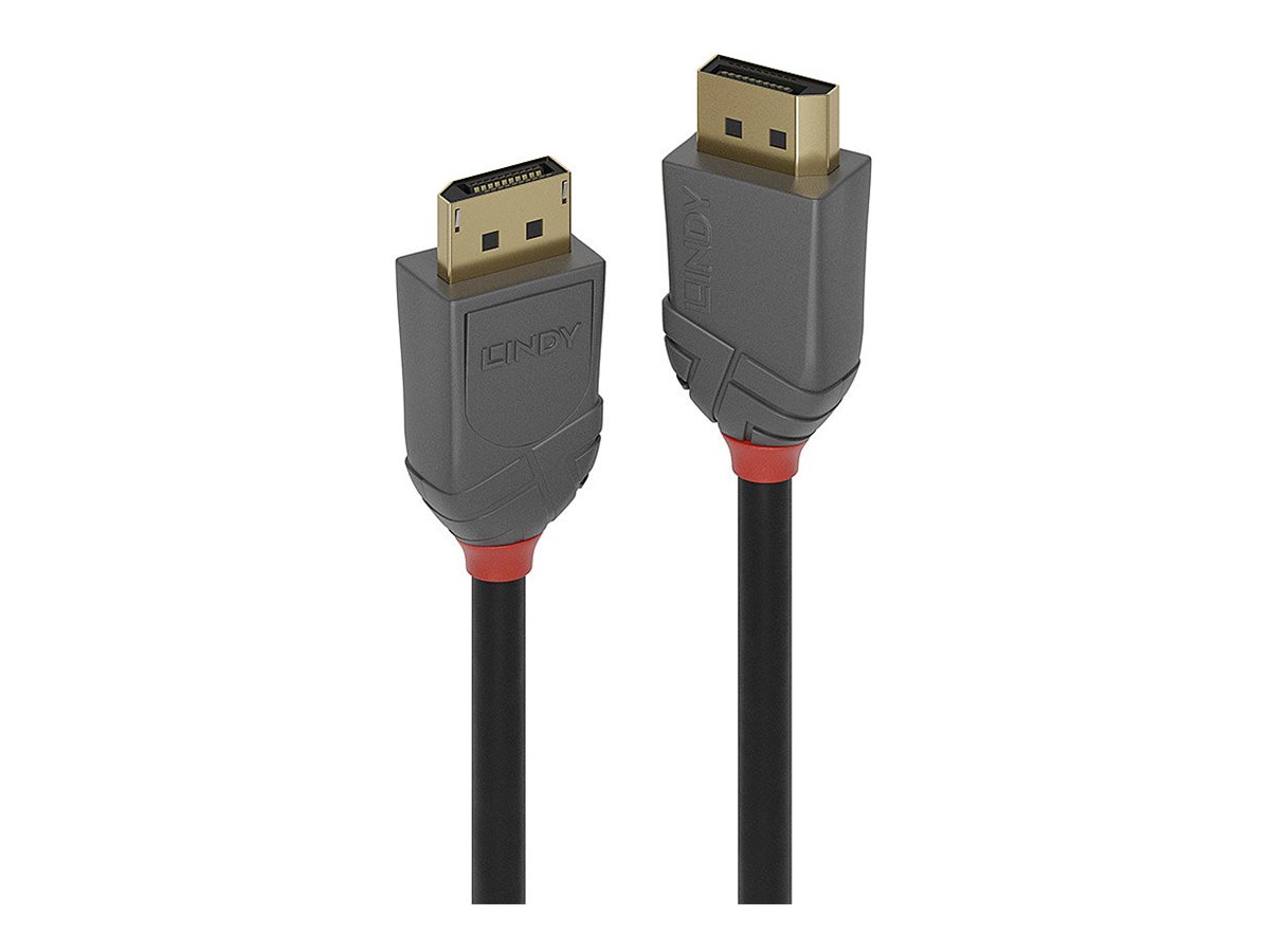Lindy Anthra Line - DisplayPort-Kabel - DisplayPort (M) zu DisplayPort (M) - DisplayPort 1.4 - 5 m - rund