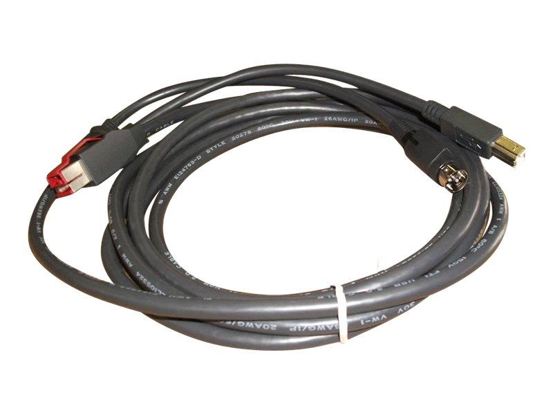 Epson - Powered USB-Kabel - USB PlusPower (24 V) (M) zu USB Typ B, Strom mini-DIN (M) - 3 m - Schwarz