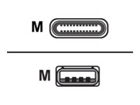 Poly - USB-Kabel - USB (M) zu 24 pin USB-C (M) - 10 m