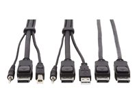 Tripp Lite Dual DisplayPort KVM Cable Kit 4K USB 3.5 mm Audio 3xM/3xM 6ft - Video- / USB- / Audio-Kabel - USB, Mini-Stecker, Dis