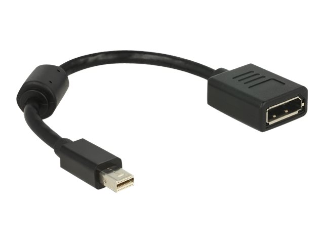 Delock - DisplayPort-Adapter - DisplayPort (W) zu Mini DisplayPort (M) - 21 cm - Schwarz