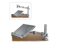 Lindy Desktop Notebook Arm - Verstellbare Notebook-Halterung