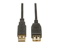 Eaton Tripp Lite Series USB 2.0 Extension Cable (A M/F) 16 ft. (4.88 m) - USB-Verlängerungskabel - USB (W) zu USB (M) - 4.88 m -