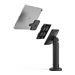 Compulocks Magnetix Secured Magnetic Tablet Counter Stand - Cable lock included - Aufstellung - fr Tablett - verriegelbar - Ver