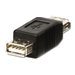 Lindy - Gender Changer USB - USB (W) zu USB (W) - Schwarz