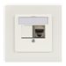 Digitus Professional DN-93832 - Frontabdeckung - 2 Ports