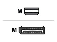 M-CAB - DisplayPort-Kabel - Mini DisplayPort (M) zu DisplayPort (M) - DisplayPort 1.2 - 2 m - Schwarz