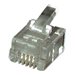 EFB-Elektronik - Netzwerkanschluss - RJ-12 (M) - durchsichtig (Packung mit 100)