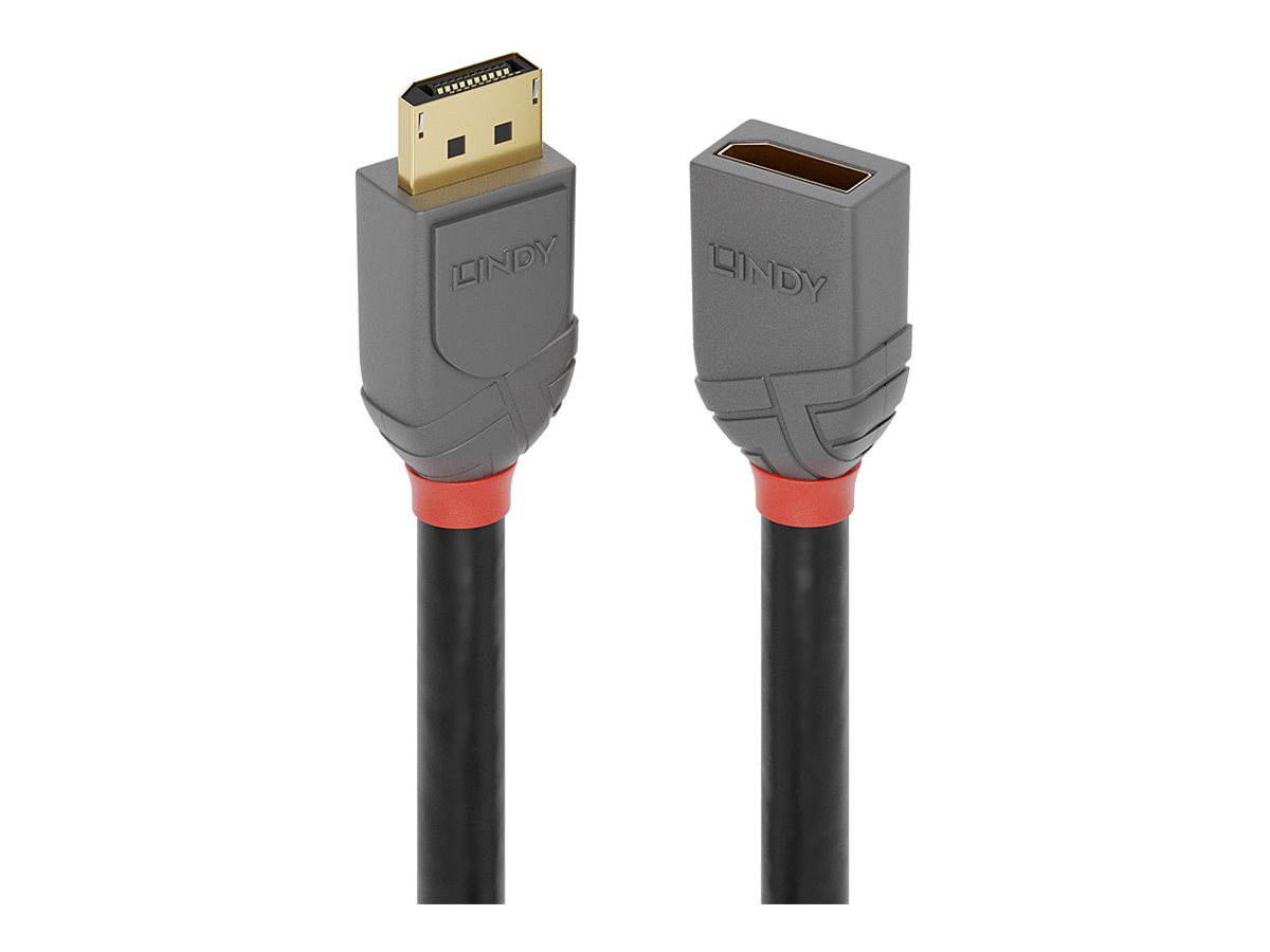 Lindy Anthra Line - DisplayPort-Verlngerungskabel - DisplayPort (M) zu DisplayPort (W) - DisplayPort 1.4 - 50 cm - untersttzt 