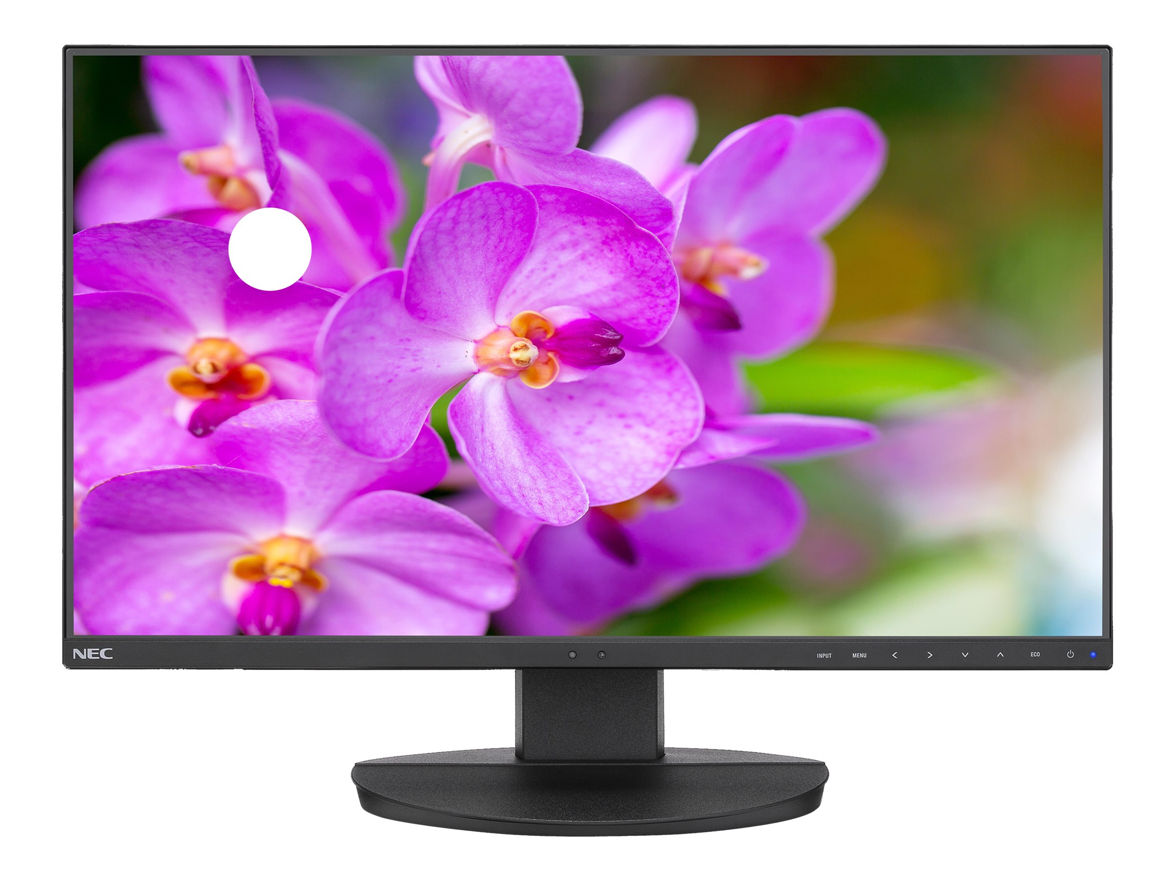 NEC MultiSync EA241F-BK - LED-Monitor mit CH Garantie - 60.96 cm (24