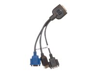 HPE - Video-/USB-/serielles Kabel im Set - SUV-Stecker, 36-polig (M) zu USB, DB-9, HD-15 (VGA) - fr ProLiant SL230s Gen8, SL250