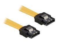 Delock Cable SATA - SATA-Kabel - Serial ATA 150/300/600 - SATA (W) zu SATA (W) - 70 cm - eingerastet, gerader Stecker